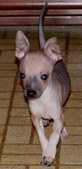 Enlarge photo 10