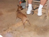 Enlarge photo 16