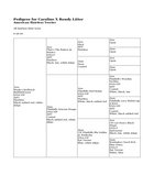 Enlarge HTML Document 1
