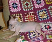 Enlarge photo 39