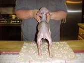 Enlarge photo 22