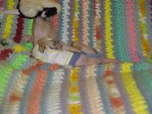 Enlarge photo 12