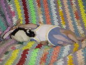 Enlarge photo 11