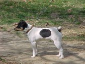 Enlarge photo 4