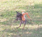 Enlarge photo 23