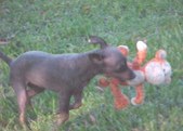 Enlarge photo 15