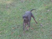 Enlarge photo 12