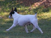 Enlarge photo 15
