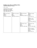 Enlarge HTML Document 10