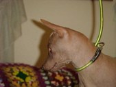 Enlarge photo 22