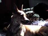 Enlarge photo 18