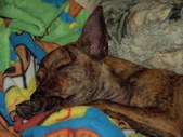 Enlarge photo 15