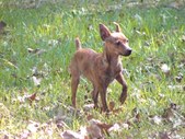 Enlarge photo 24