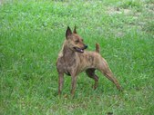 Enlarge photo 40