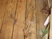 Enlarge photo 30
