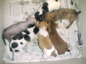 Enlarge photo 26