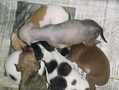 Enlarge photo 28