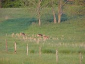 Enlarge photo 29