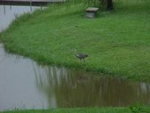 Enlarge photo 30
