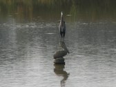Enlarge photo 52
