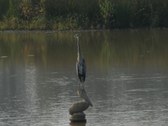 Enlarge photo 53