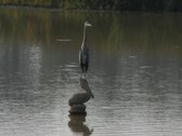 Enlarge photo 54