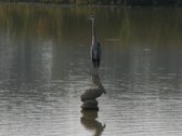 Enlarge photo 55