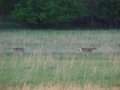Enlarge photo 36
