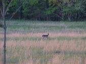 Enlarge photo 37