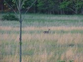 Enlarge photo 38