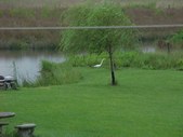 Enlarge photo 44