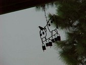 Enlarge photo 47