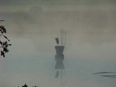 Enlarge photo 48