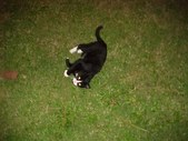Enlarge photo 3