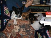 Enlarge photo 8