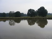 Enlarge photo 66