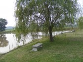 Enlarge photo 67