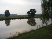 Enlarge photo 68
