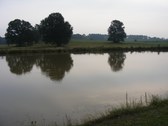Enlarge photo 69