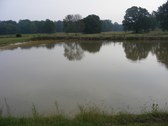 Enlarge photo 70
