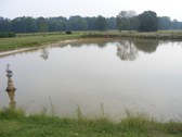 Enlarge photo 71
