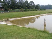 Enlarge photo 72