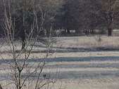 Enlarge photo 55