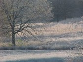 Enlarge photo 56