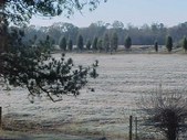 Enlarge photo 57