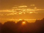 Enlarge photo 35