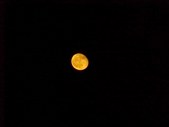 Enlarge photo 58