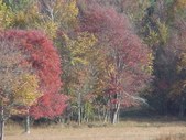 Enlarge photo 59