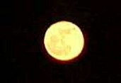 Enlarge photo 36