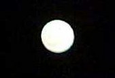Enlarge photo 37